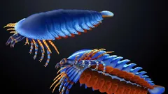 Fosília nájdená v štáte Utah posúva vznik chelicér – tykadiel typických pre pavúky a škorpióny – o 20 miliónov rokov dozadu.